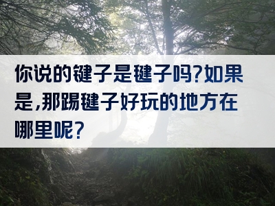 你说的键子是毽子吗？如果是，那踢毽子好玩的地方在哪里呢？