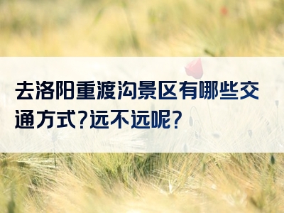 去洛阳重渡沟景区有哪些交通方式？远不远呢？