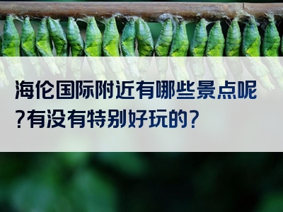 海伦国际附近有哪些景点呢？有没有特别好玩的？