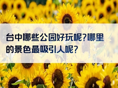 台中哪些公园好玩呢？哪里的景色最吸引人呢？