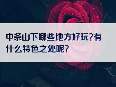 中条山下哪些地方好玩？有什么特色之处呢？