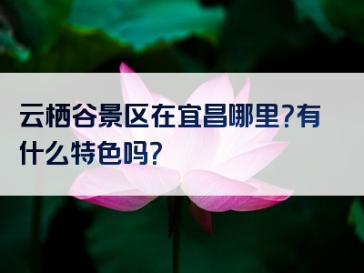 云栖谷景区在宜昌哪里？有什么特色吗？