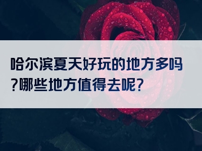 哈尔滨夏天好玩的地方多吗？哪些地方值得去呢？