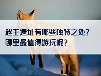 赵王遗址有哪些独特之处？哪里最值得游玩呢？