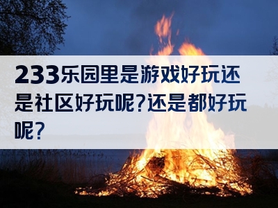 233乐园里是游戏好玩还是社区好玩呢？还是都好玩呢？