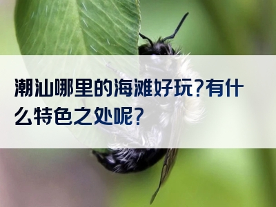 潮汕哪里的海滩好玩？有什么特色之处呢？