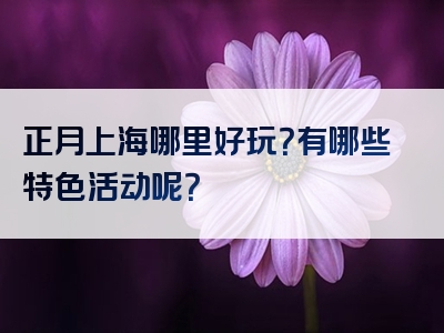 正月上海哪里好玩？有哪些特色活动呢？