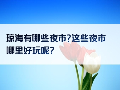 琼海有哪些夜市？这些夜市哪里好玩呢？