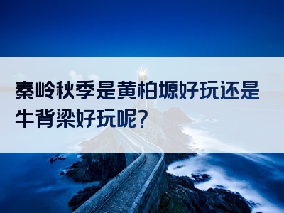 秦岭秋季是黄柏塬好玩还是牛背梁好玩呢？