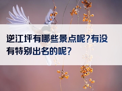 逆江坪有哪些景点呢？有没有特别出名的呢？