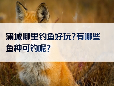 蒲城哪里钓鱼好玩？有哪些鱼种可钓呢？