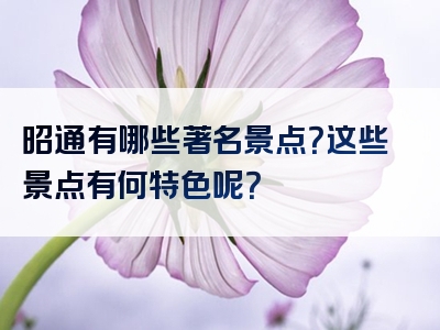 昭通有哪些著名景点？这些景点有何特色呢？