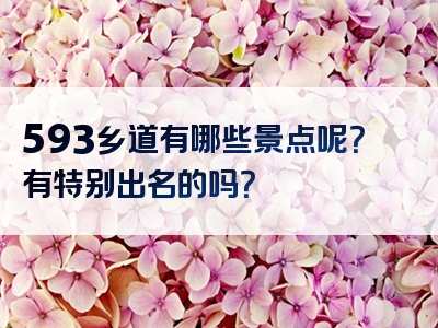 593乡道有哪些景点呢？有特别出名的吗？