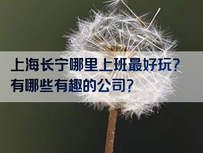 上海长宁哪里上班最好玩？有哪些有趣的公司？