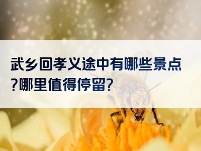 武乡回孝义途中有哪些景点？哪里值得停留？