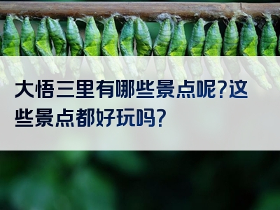 大悟三里有哪些景点呢？这些景点都好玩吗？