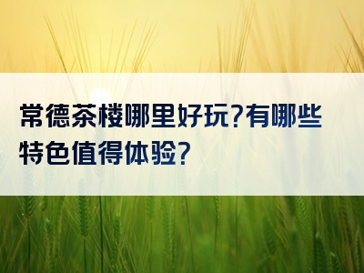 常德茶楼哪里好玩？有哪些特色值得体验？