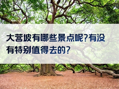 大营坡有哪些景点呢？有没有特别值得去的？