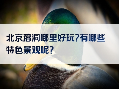 北京溶洞哪里好玩？有哪些特色景观呢？