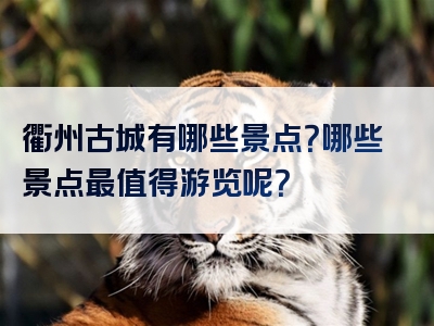 衢州古城有哪些景点？哪些景点最值得游览呢？