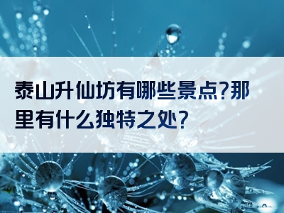 泰山升仙坊有哪些景点？那里有什么独特之处？