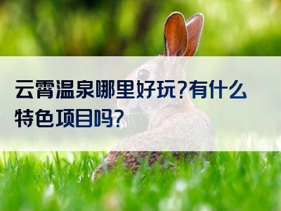 云霄温泉哪里好玩？有什么特色项目吗？