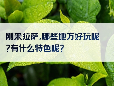 刚来拉萨，哪些地方好玩呢？有什么特色呢？