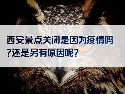 西安景点关闭是因为疫情吗？还是另有原因呢？