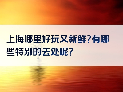 上海哪里好玩又新鲜？有哪些特别的去处呢？