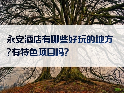 永安酒店有哪些好玩的地方？有特色项目吗？