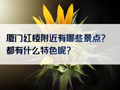 厦门红楼附近有哪些景点？都有什么特色呢？