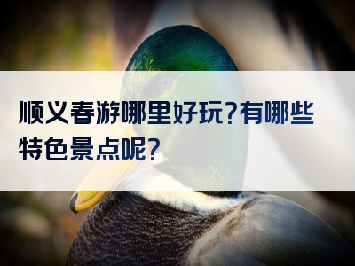 顺义春游哪里好玩？有哪些特色景点呢？