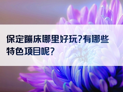 保定蹦床哪里好玩？有哪些特色项目呢？