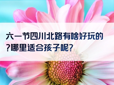 六一节四川北路有啥好玩的？哪里适合孩子呢？