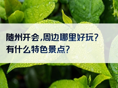 随州开会，周边哪里好玩？有什么特色景点？