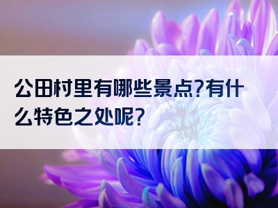 公田村里有哪些景点？有什么特色之处呢？