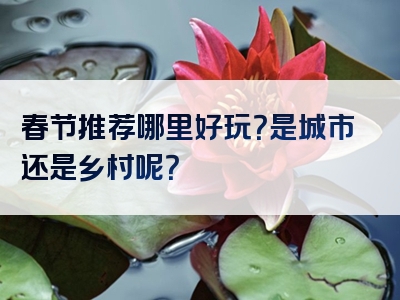 春节推荐哪里好玩？是城市还是乡村呢？