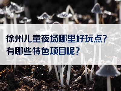 徐州儿童夜场哪里好玩点？有哪些特色项目呢？