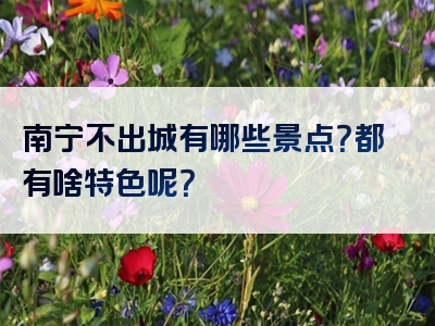 南宁不出城有哪些景点？都有啥特色呢？