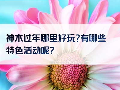 神木过年哪里好玩？有哪些特色活动呢？