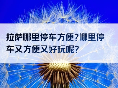 拉萨哪里停车方便？哪里停车又方便又好玩呢？