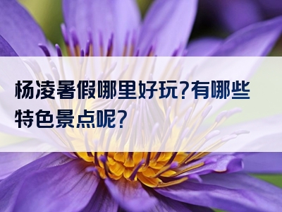 杨凌暑假哪里好玩？有哪些特色景点呢？