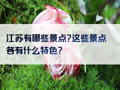 江苏有哪些景点？这些景点各有什么特色？