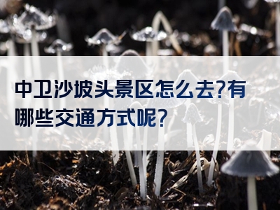 中卫沙坡头景区怎么去？有哪些交通方式呢？