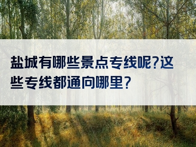 盐城有哪些景点专线呢？这些专线都通向哪里？