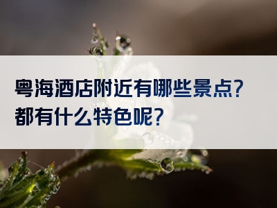 粤海酒店附近有哪些景点？都有什么特色呢？