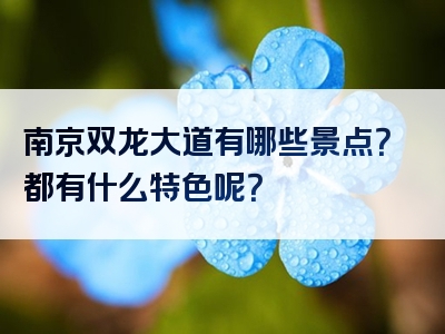 南京双龙大道有哪些景点？都有什么特色呢？