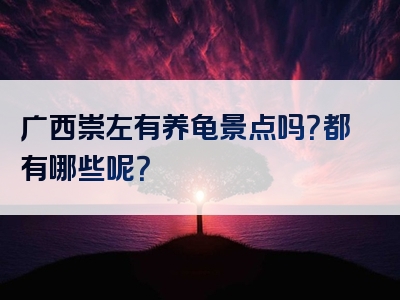 广西崇左有养龟景点吗？都有哪些呢？