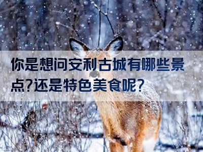 你是想问安利古城有哪些景点？还是特色美食呢？