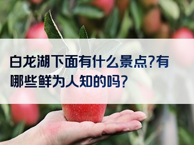 白龙湖下面有什么景点？有哪些鲜为人知的吗？